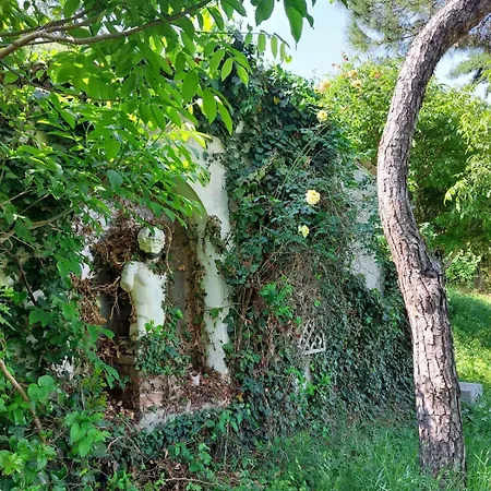 Casa Di Giulietta Vicenza Vendégház
